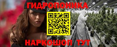 СК Краснокаменск