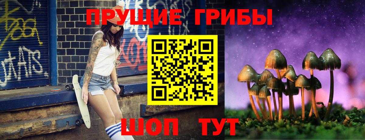 Псилоцибиновые грибы прущие грибы Камышин